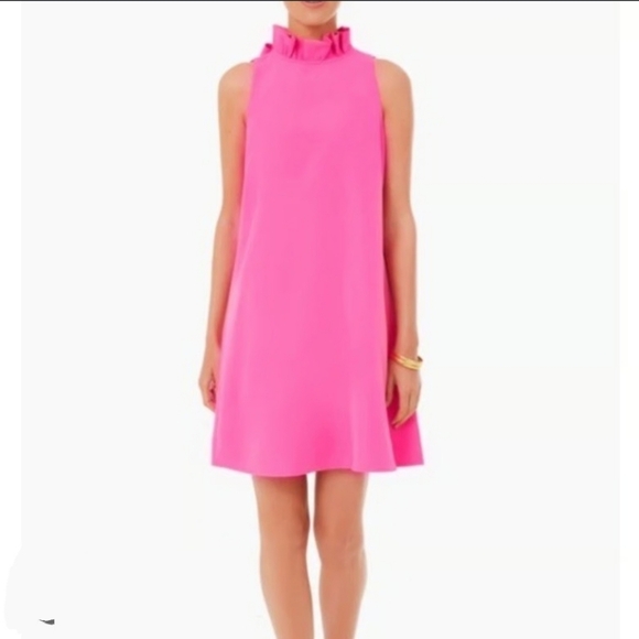 Tuckernuck (Sz M) Pink Ruffle Neck V-Back Tie Bow Sleeveless Shift Blythe Dress - Picture 10 of 10